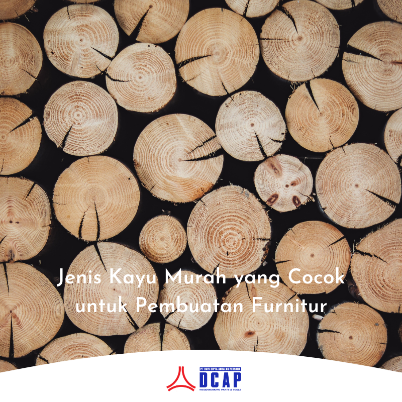Jenis Kayu Murah yang Cocok untuk Pembuatan Furnitur
