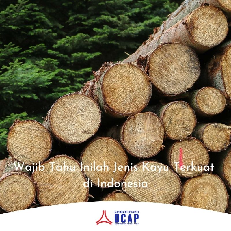 Wajib Tahu Inilah Jenis Kayu Terkuat di Indonesia