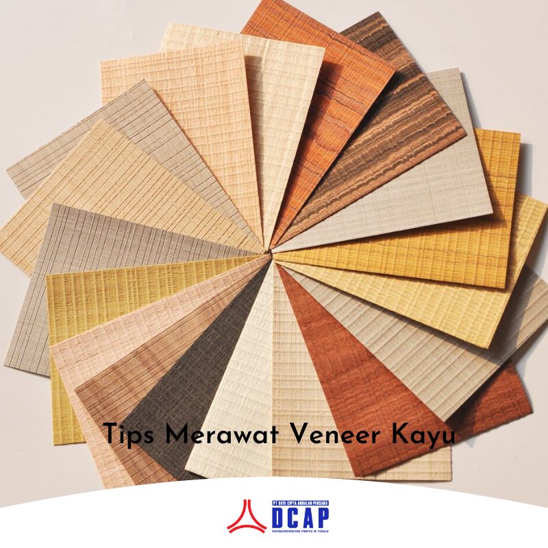 Tips Merawat Veneer Kayu