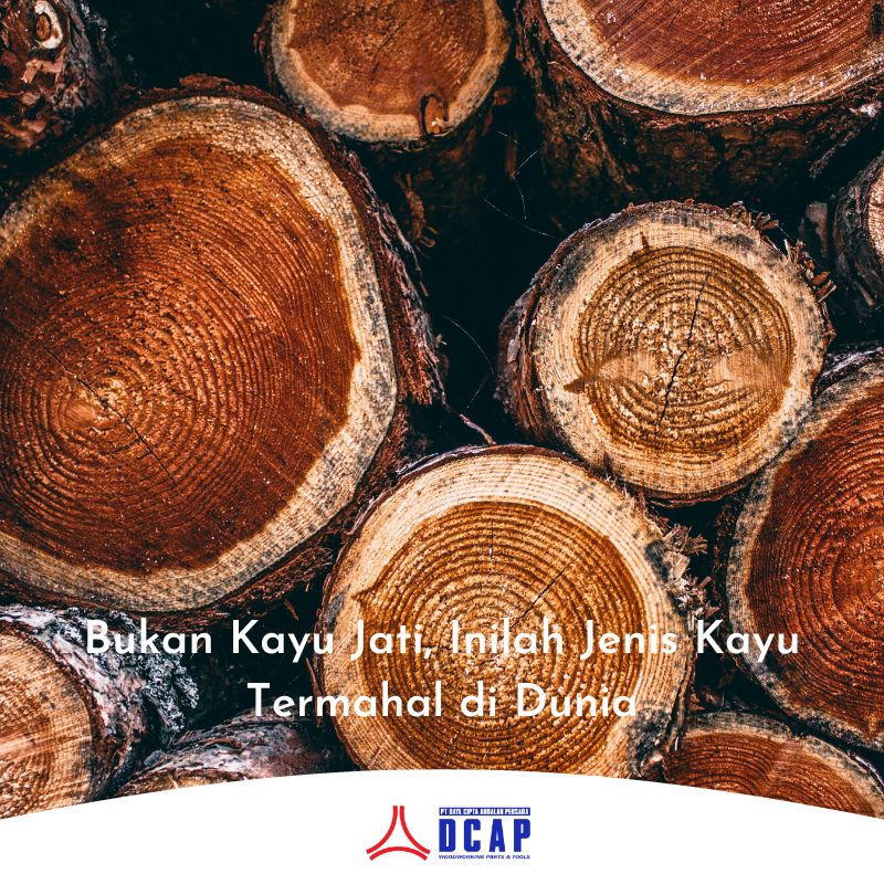 Bukan Kayu Jati, Inilah Jenis Kayu Termahal di Dunia