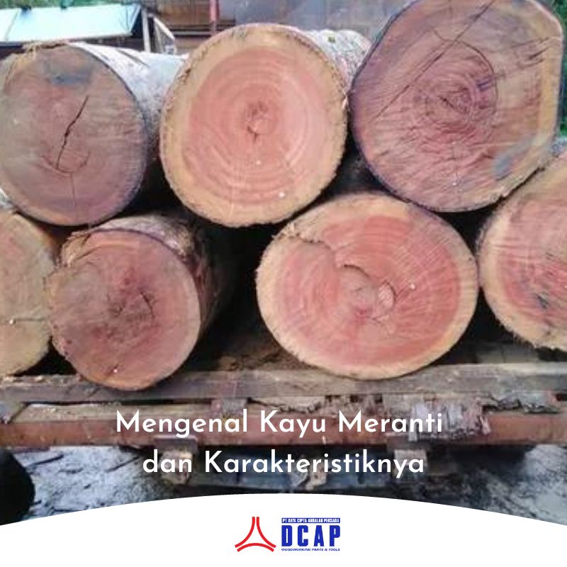 Mengenal Kayu Meranti dan Karakteristiknya