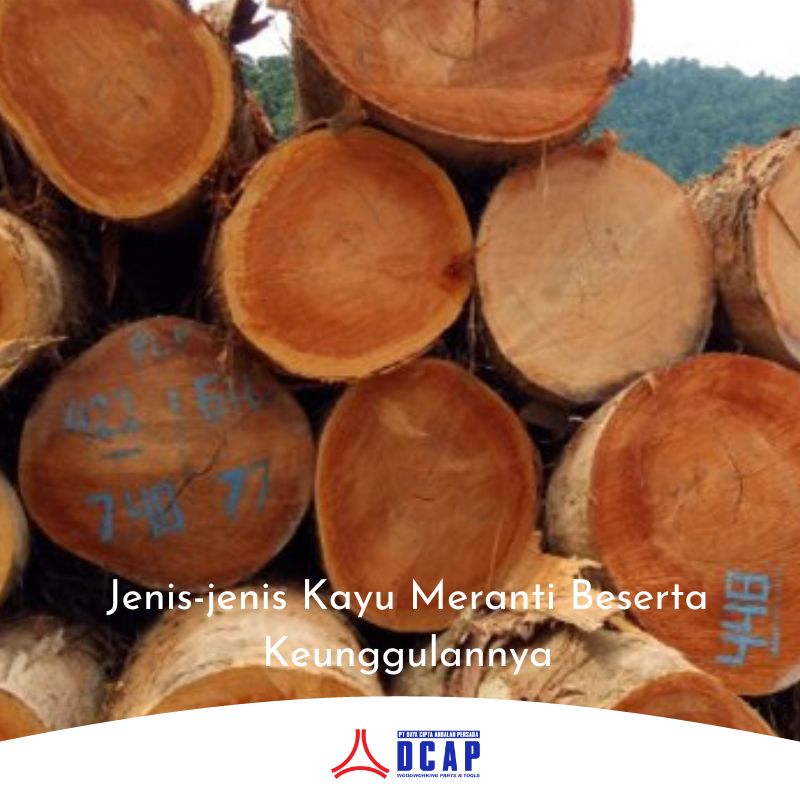 Jenis-jenis Kayu Meranti Beserta Keunggulannya