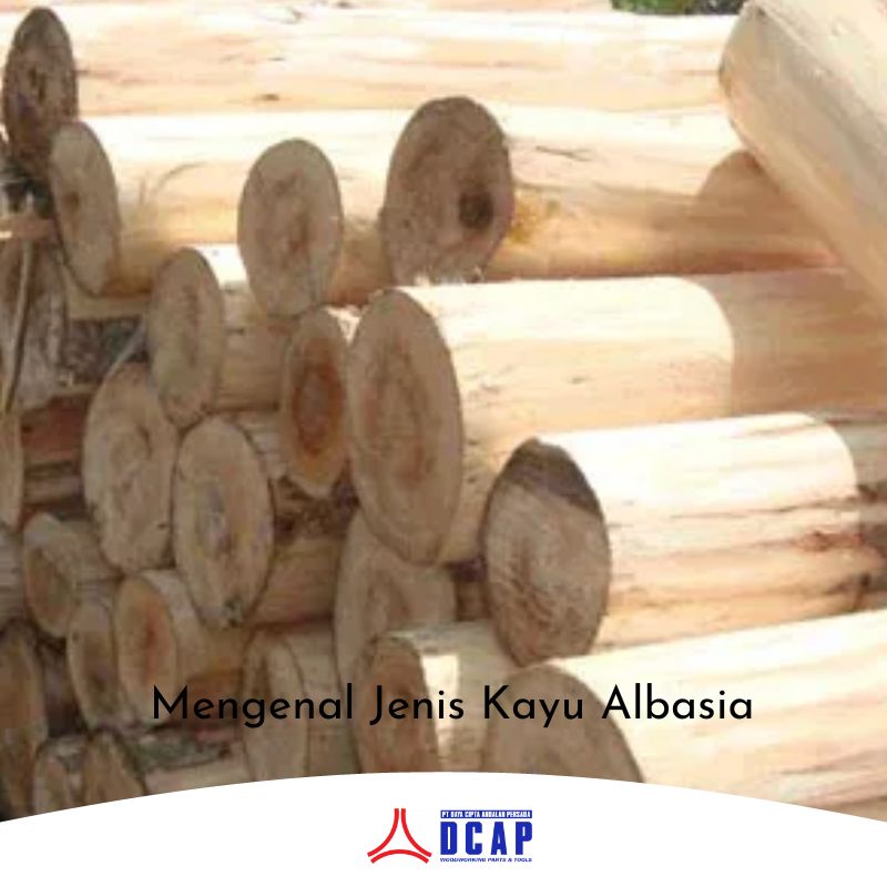 Mengenal Jenis Kayu Albasia