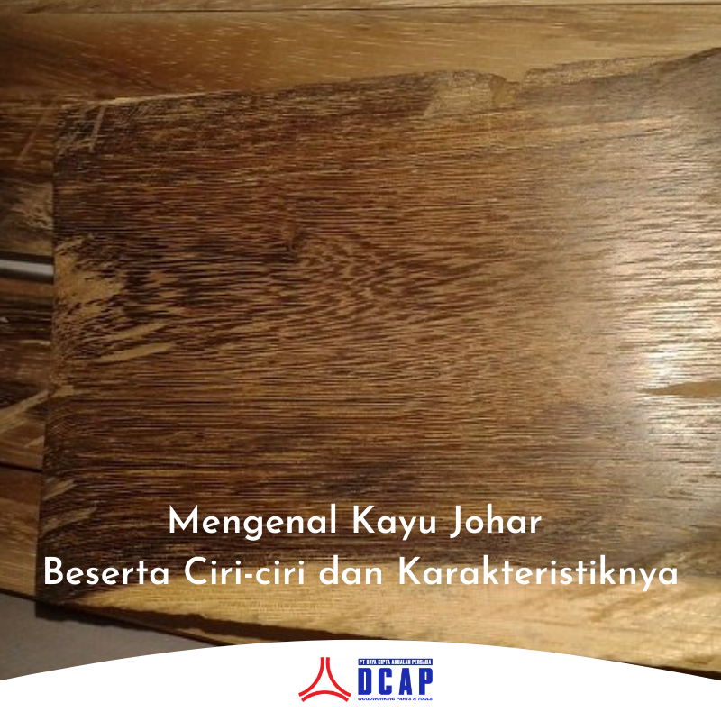 Mengenal Kayu Johar Beserta Ciri-ciri dan Karakteristiknya