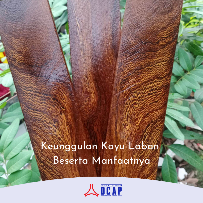 Keunggulan Kayu Laban Beserta Manfaatnya