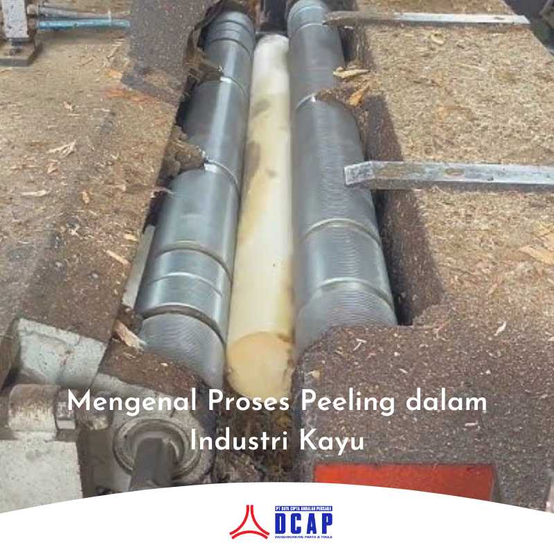 Mengenal Proses Peeling dalam Industri Kayu