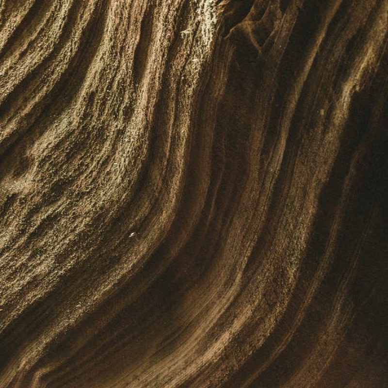 1. Tekstur Kayu Meranti 