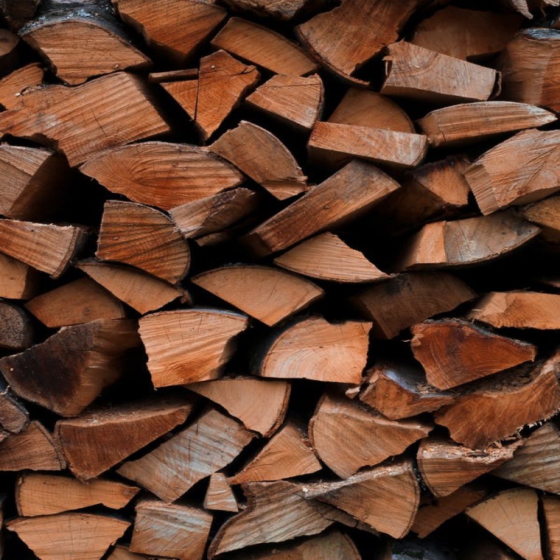 Kayu Meranti Merah