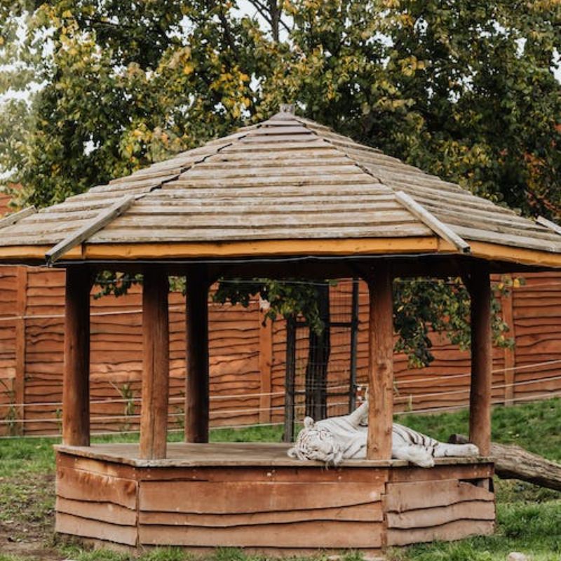 Membuat Desain Gazebo  