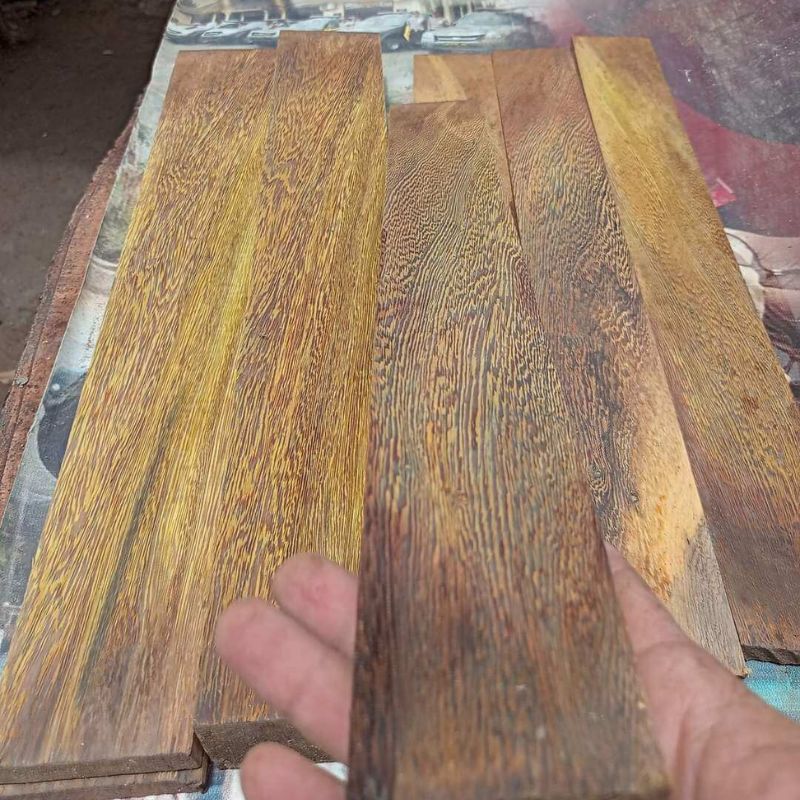 Karakteristik Kayu Johar