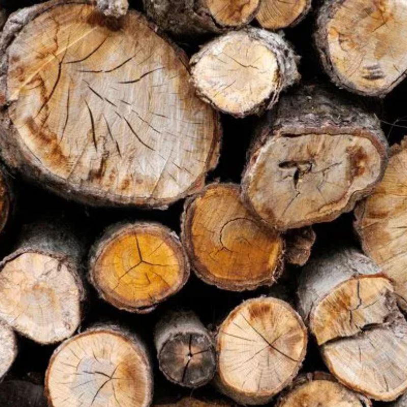 Kayu Merbau