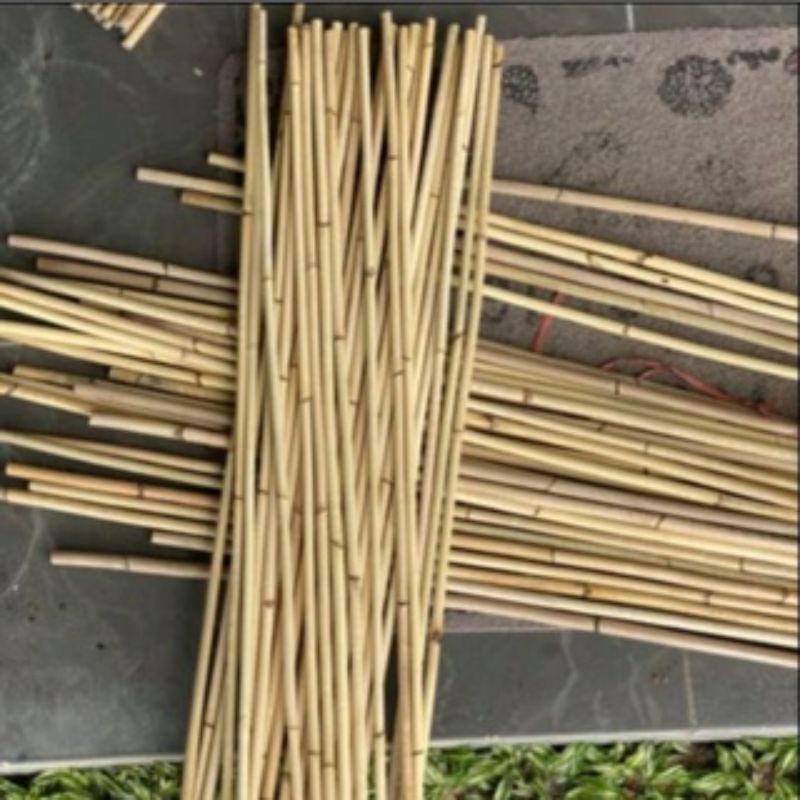 Pengertian Kayu Rotan