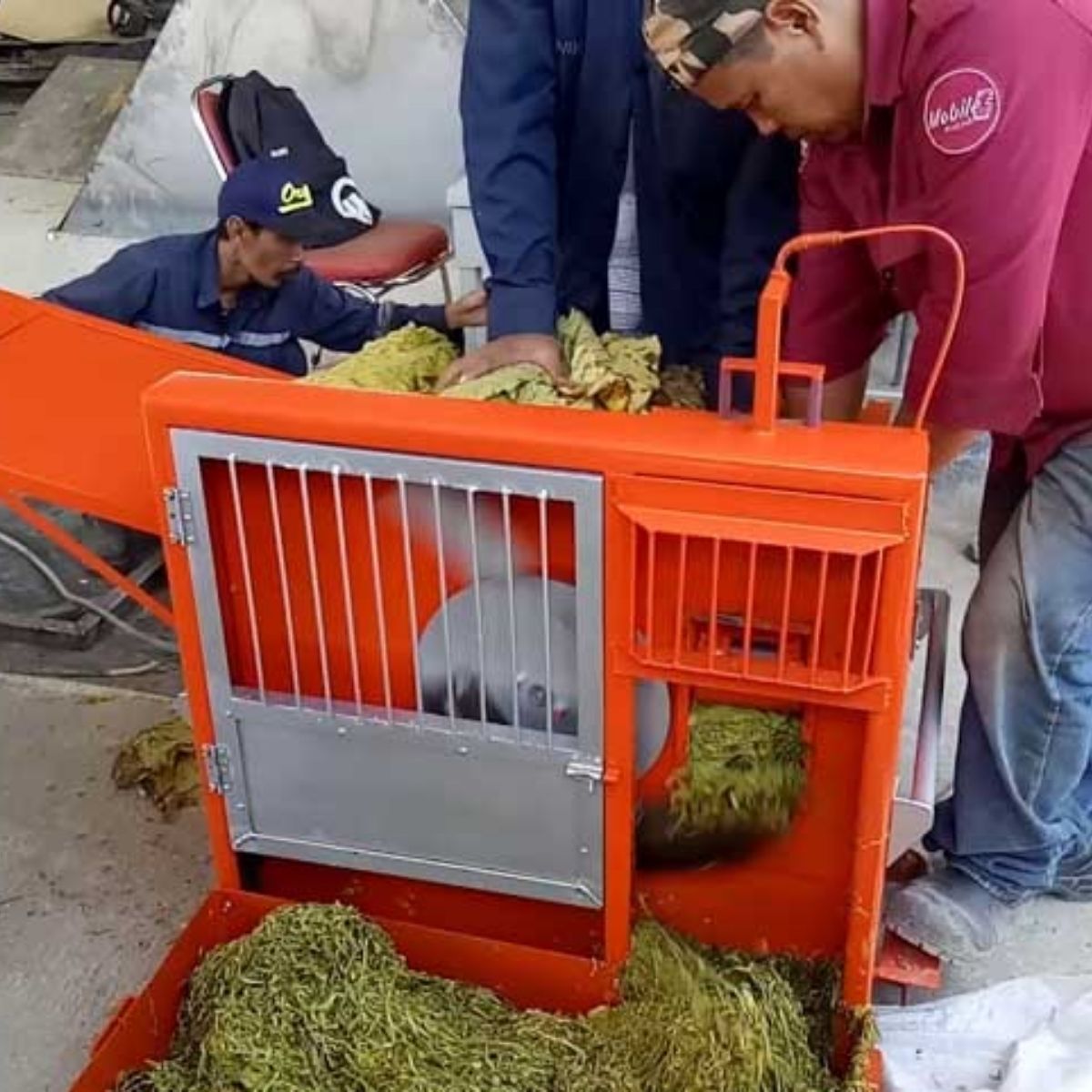 Dampak Positif terhadap Kualitas dan Efisiensi Produksi